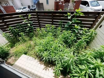 Yard/Garden