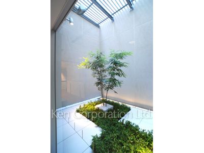 Courtyard/Greenery