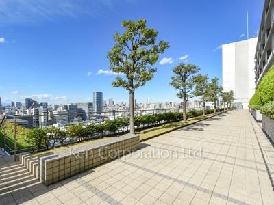  Courtyard/Greenery