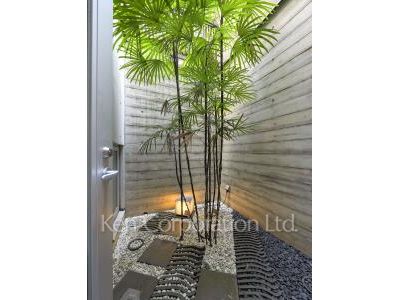  Courtyard/Greenery