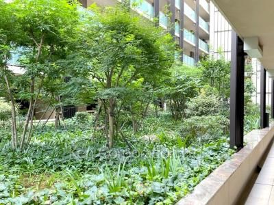  Courtyard/Greenery