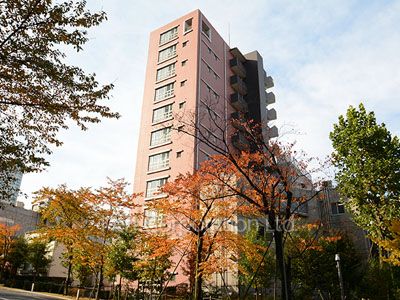 Exterior from afar