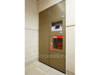 Mail/Delivery box
