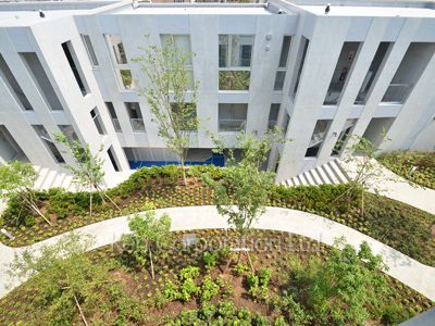 Courtyard/Greenery
