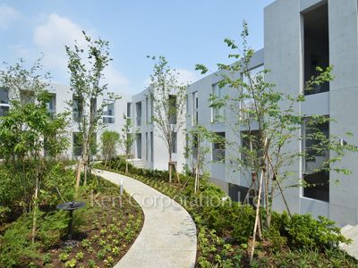 Courtyard/Greenery