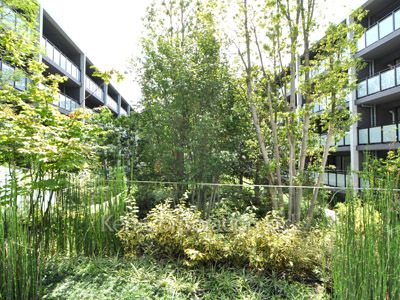  Courtyard/Greenery