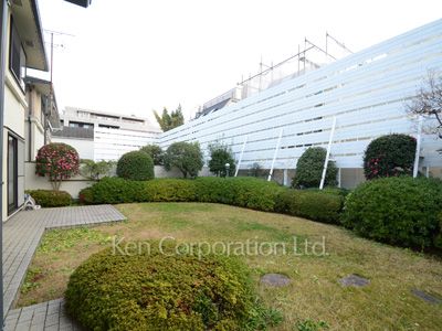Yard/Garden