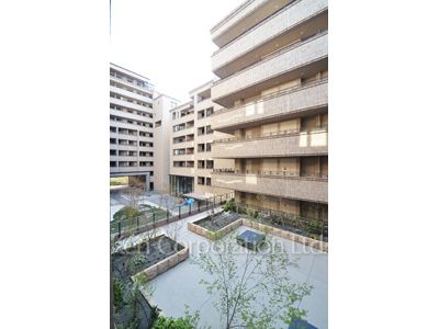 Courtyard/Greenery
