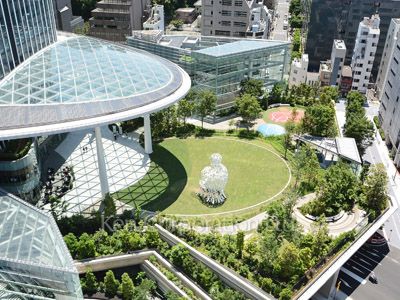 Courtyard/Greenery