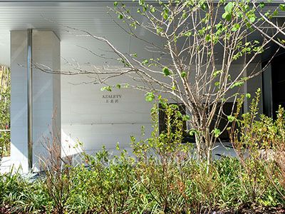  Exterior from afar