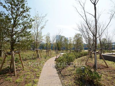  Courtyard/Greenery