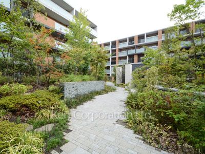 Courtyard/Greenery