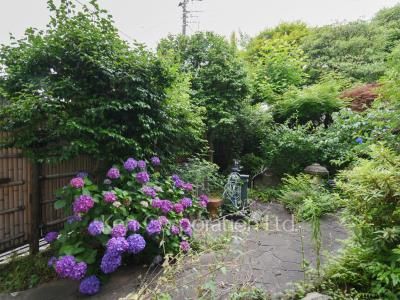  Courtyard/Greenery