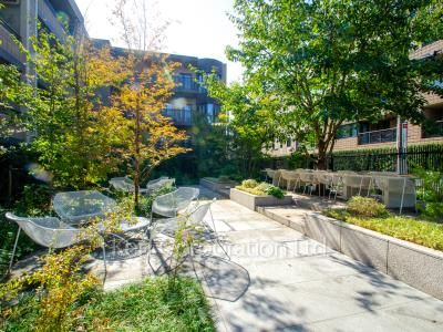  Courtyard/Greenery
