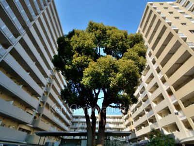 Exterior from afar