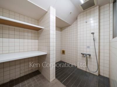 Foot shower for pet