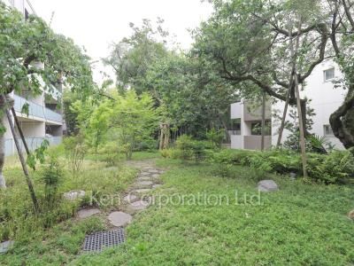 Courtyard/Greenery