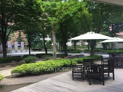 Courtyard/Greenery