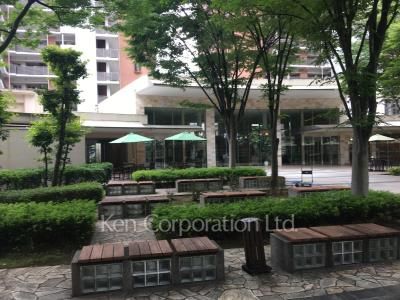 Courtyard/Greenery