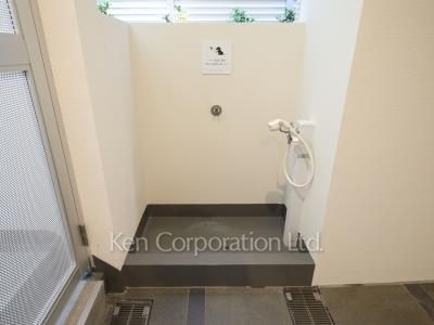 Foot shower for pet