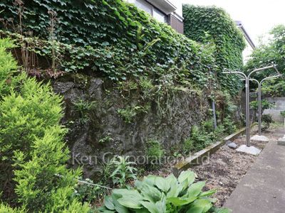 Courtyard/Greenery