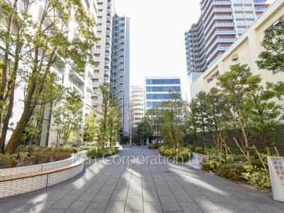 Courtyard/Greenery