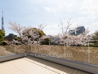 Roof Balcony