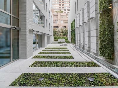 Courtyard/Greenery