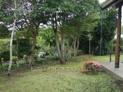  Courtyard/Greenery