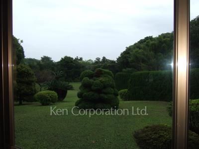  Courtyard/Greenery