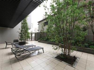 Yard/Garden