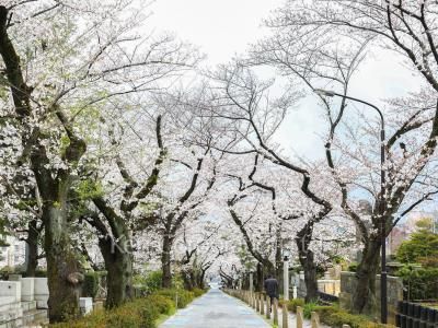 Neighborhood