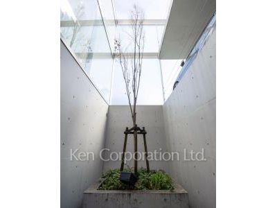  Courtyard/Greenery