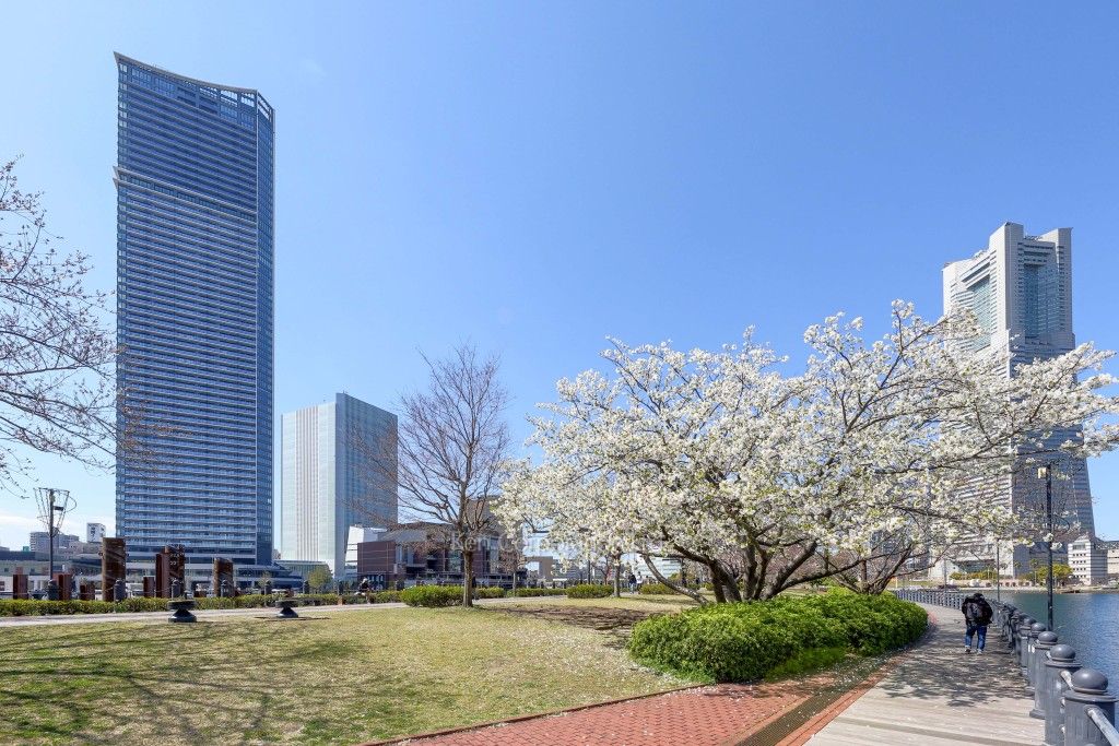The Tower Yokohama Kitanaka for rent | Yokohama Apartments