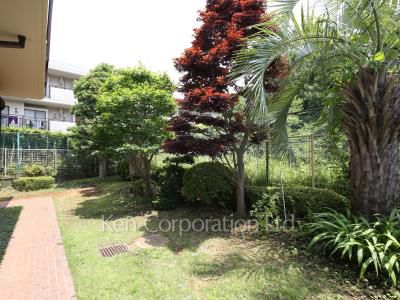  Courtyard/Greenery