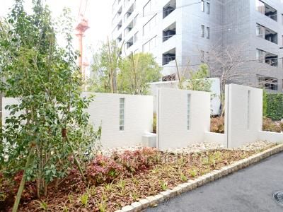 Courtyard/Greenery