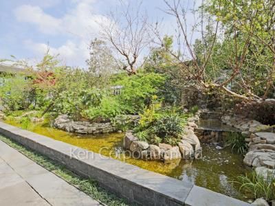 Courtyard/Greenery