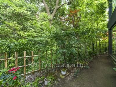  Courtyard/Greenery