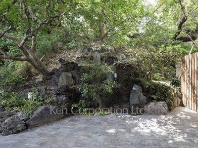 Courtyard/Greenery