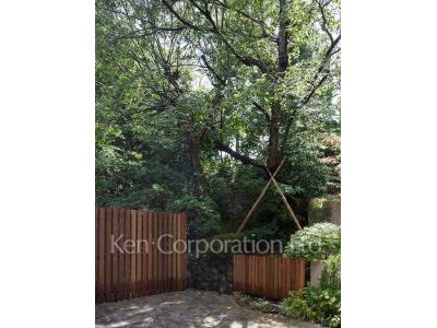Courtyard/Greenery