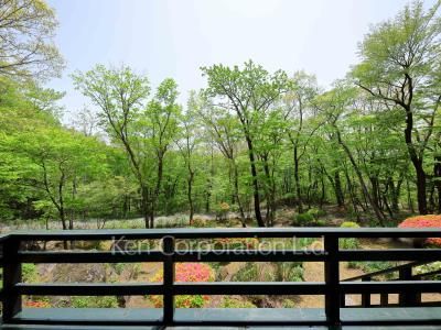 View from building