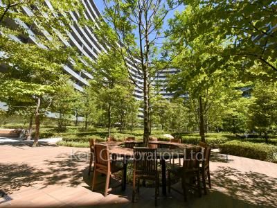 Courtyard/Greenery