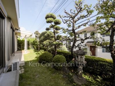 Courtyard/Greenery