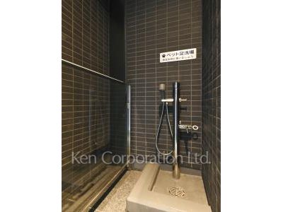 Foot shower for pet
