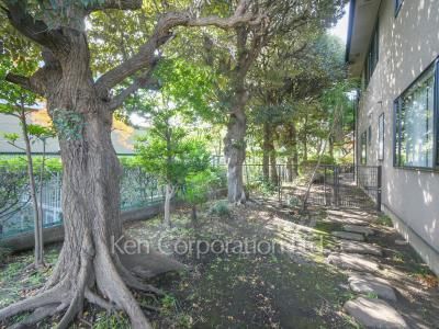 Courtyard/Greenery