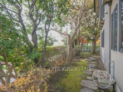 Courtyard/Greenery