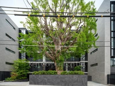  Courtyard/Greenery