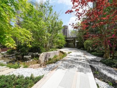  Courtyard/Greenery