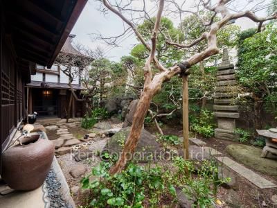 Courtyard/Greenery