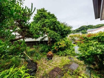 Yard/Garden